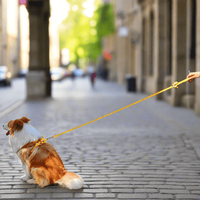 Harnais pour chien / coquet - au royaume des chiens