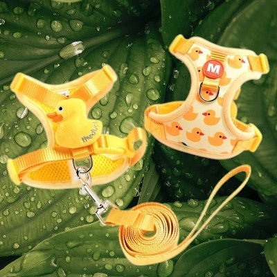 harnais-petit-chien-canard-laisse