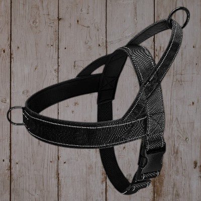 Harnais anti - traction / dressage - au royaume des chiens