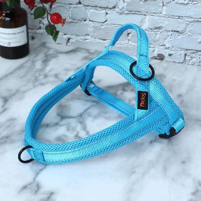 Harnais anti - traction / dressage - au royaume des chiens