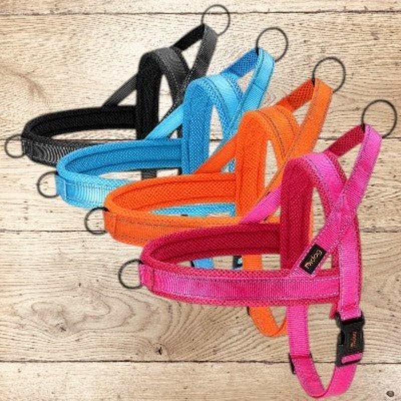 Harnais anti-traction chien - dressage - couleur-noir-bleu-orange-rose