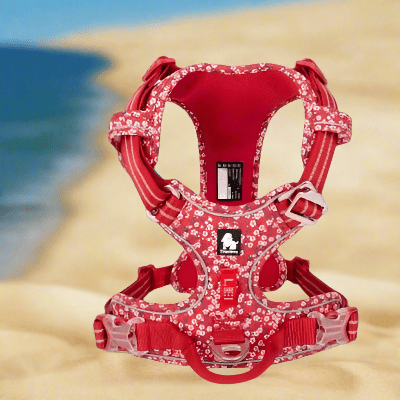 harnais-pour-chien-motifs-fleuris-rouge