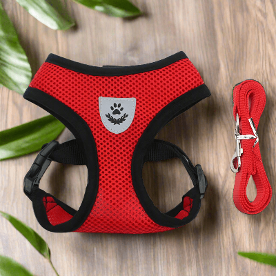 harnais-pour-chien-petit-laisse-rouge