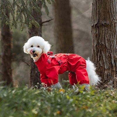 Impérméable pour chien - salopette pour petits chiens - au royaume des chiens