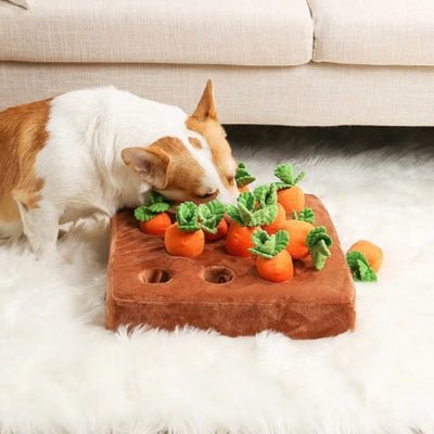 jouet-pour-chien-interactif-tapis-potager