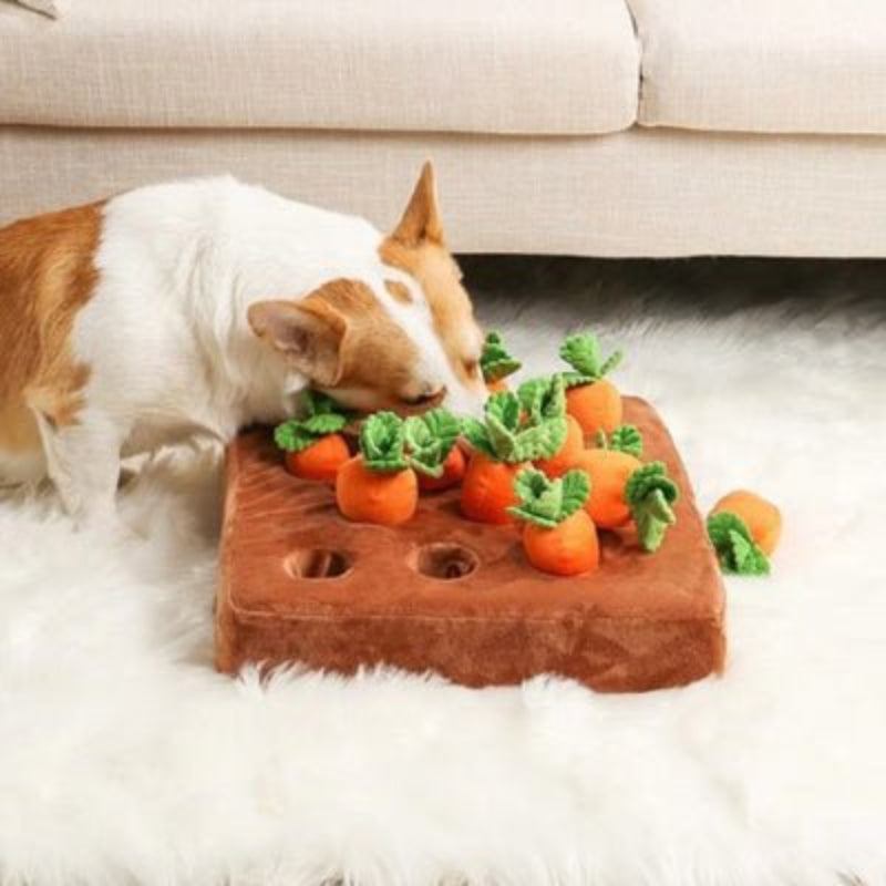 jouet-pour-chien-interactif-tapis-potager