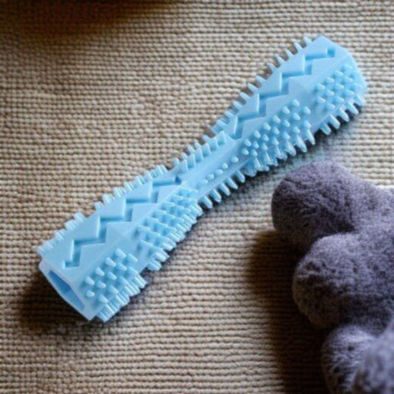 jouet chien -brosse à dents hygiène dentaire-bleu