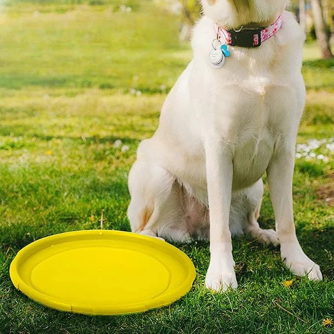 Frisbee chien - Jaune - au royaume des chiens