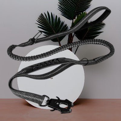 Laisse pour chien / ceinture - au royaume des chiens