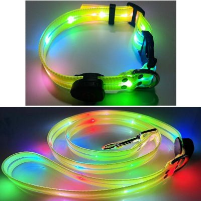 laisse pour chien - lumineuse - au royaume des chiens