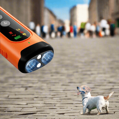 répulsif pour chien - anti aboiement - au royaume des chiens