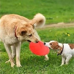 Frisbee chien - Rouge - au royaume des chiens