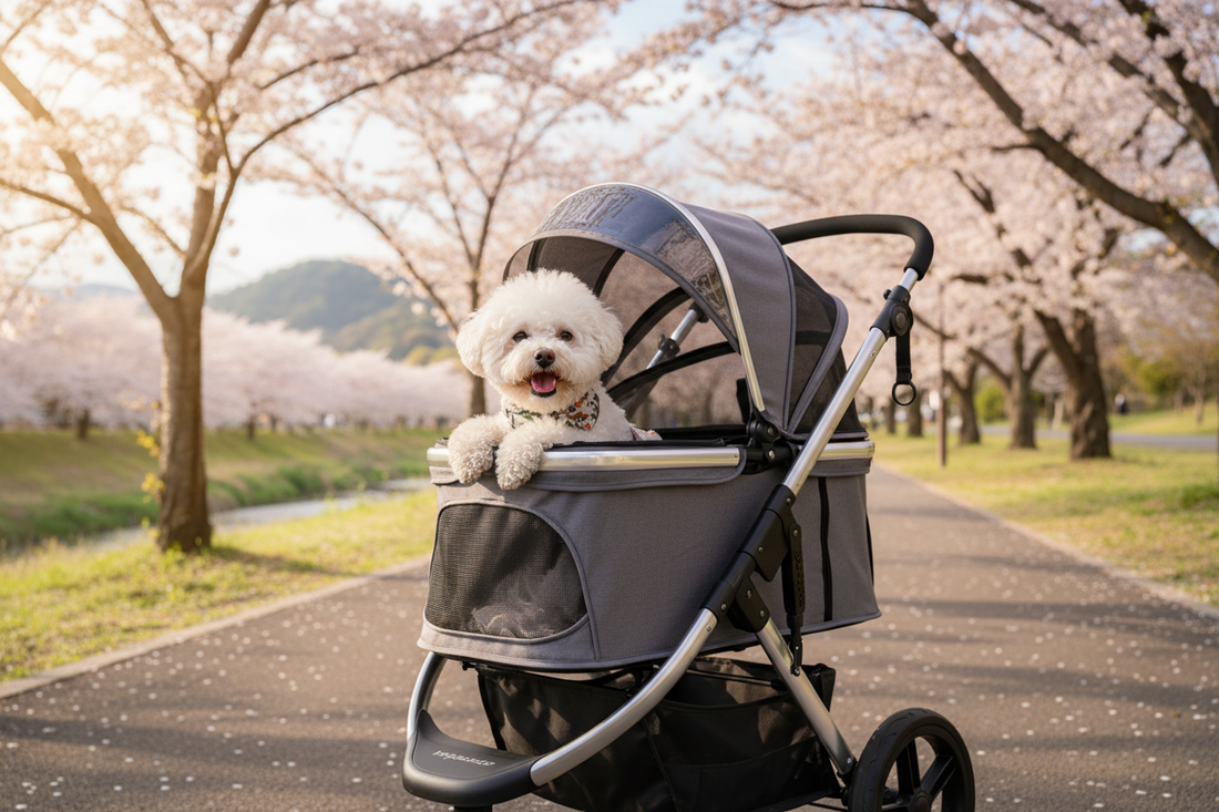 chien-dans-poussette