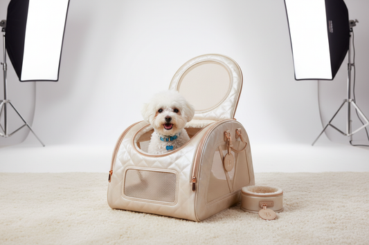  chien confortablement installé dans un sac de transport premium avec une esthétique élégante