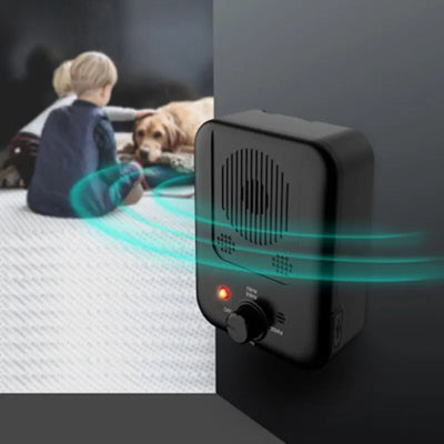 Anti-aboiement-chien-ultrasons-chien-tranquille-enfant-regarde.
