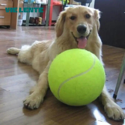 Balle-pour-chien-tennis-geante-chien-maison