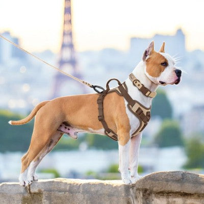 Chien harnais - chocolat Anti-traction, confortable et ajustable-portant-harnais-promenade-a-paris