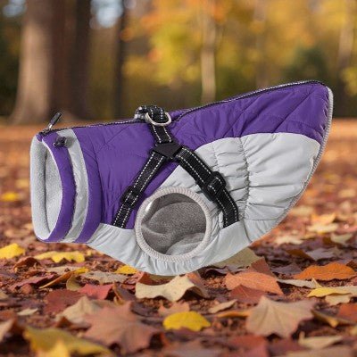Coffret Complet Pluie - Imperméable avec Harnais Impermeable_pour_chien_-_avec_harnais_chauds_d_hiver-mauve
