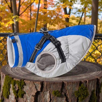 Coffret Complet Pluie - Imperméable avec Harnais + Laisse Impermeable_pour_chien_-_avec_harnais_chauds_d_hiver-bleu