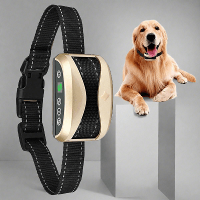 Collier-anti-aboiement-pour-chien-dressage-heureux