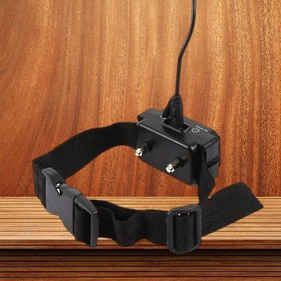 Collier anti aboiement pour chien / jardin - au royaume des chiens