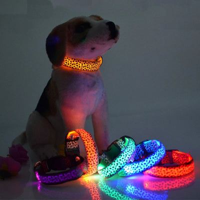 Collier-pour-chien-Leopard-LED-kit-couleurs-chien-noirceur