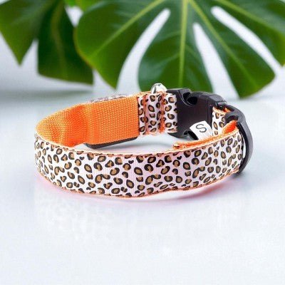 Collier pour chien - Leopard LED - au royaume des chiens