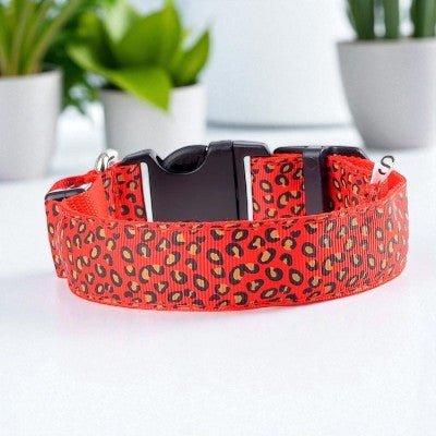 Collier pour chien - Leopard LED - au royaume des chiens