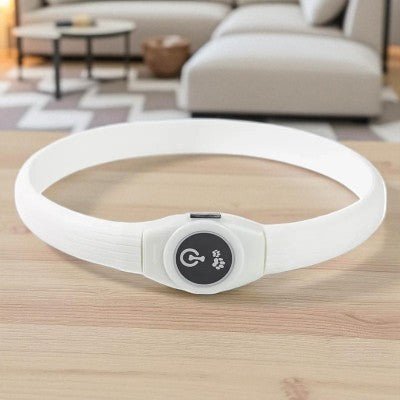 Collier-pour-chien-USB-blanc