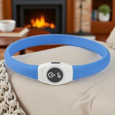Collier-pour-chien-USB-bleu