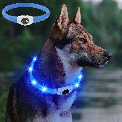 Collier-pour-chien-USB-chien-collier-bleu-nuit