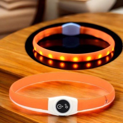 Collier-pour-chien-USB-oranges-demo