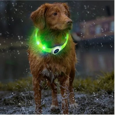 Collier-pour-chien-USB-waterproof-chien-a-la-pluie-portant-collier-vert