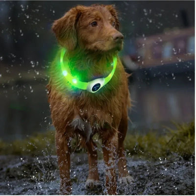 Collier-pour-chien-USB-waterproof-chien-a-la-pluie-portant-collier-vert