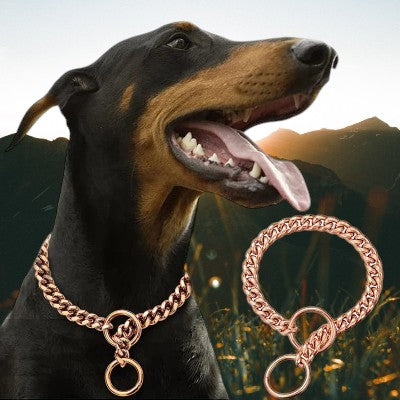 Collier-pour-chien-chaine-acier-inoxydable-collier-bronze