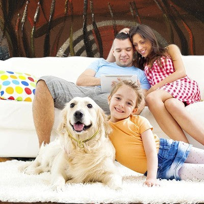 Collier-pour-chien-chaine-acier-inoxydable-familles