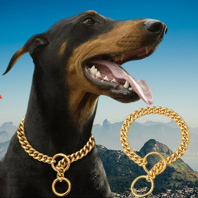 Collier-pour-chien-chaine-acier-inoxydable-chien-collier-or