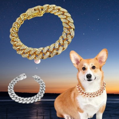 Collier pour chien - chaine