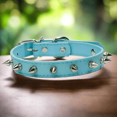 Collier-pour-chien-cuir-bleu.