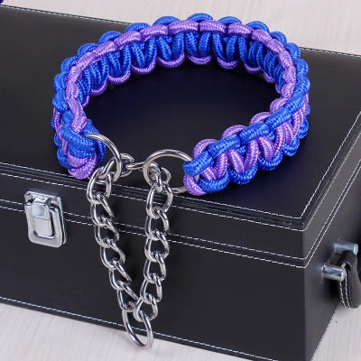 Collier-pour-chien-grande-taille-bleu-mauve-demo