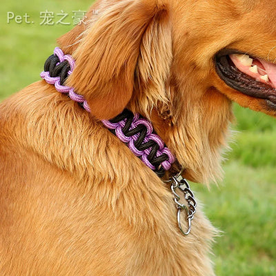 Collier-pour-chien-grande-taille-chien-content