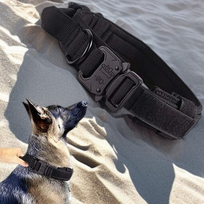 Collier-pour-chien-laisse-collier-noir-chien-berger-allemand