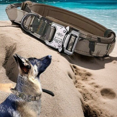 Collier-pour-chien-laisse-collier-vert-armee-chien-berger-allemand