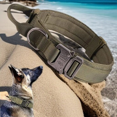 Collier-pour-chien-laisse-collier-vert-chien-berger-allemand