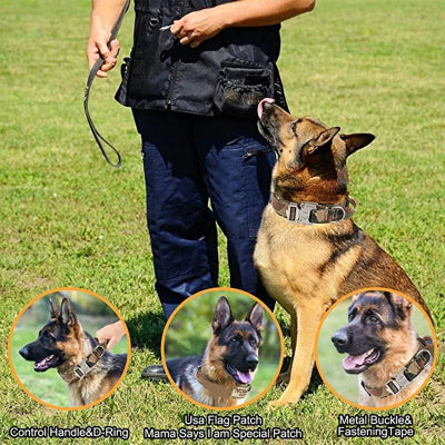 Collier-pour-chien-laisse-demonstration-dressage-chien-berger-allemand
