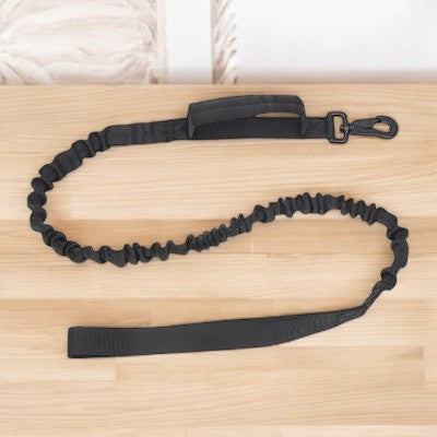 Collier-pour-chien-laisse-noir