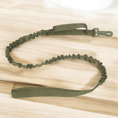 Collier-pour-chien-laisse-vert