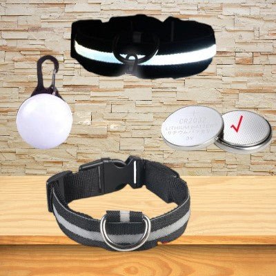 Collier-pour-chien-lumineux-noir-batterie.