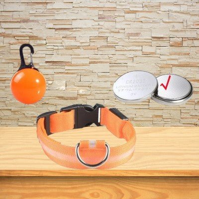 Collier-pour-chien-lumineux-orange-batterie.