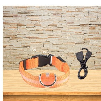Collier-pour-chien-lumineux-orange.